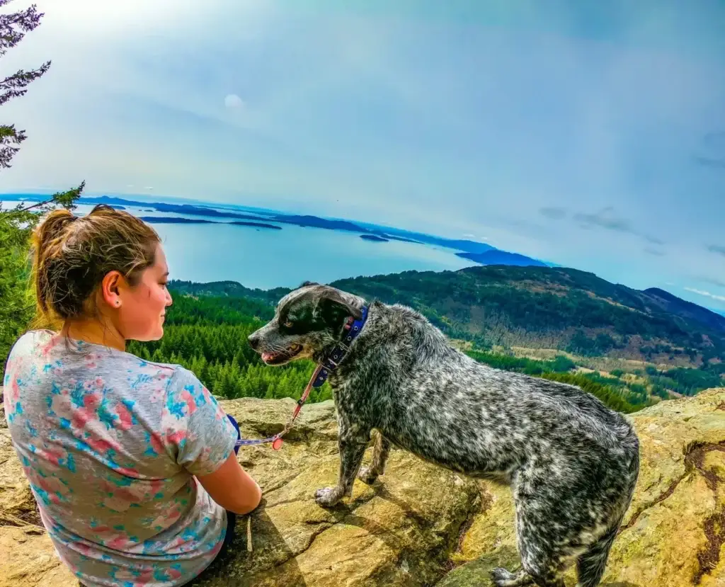 tnaa travel nurse and her dog adventure across the country