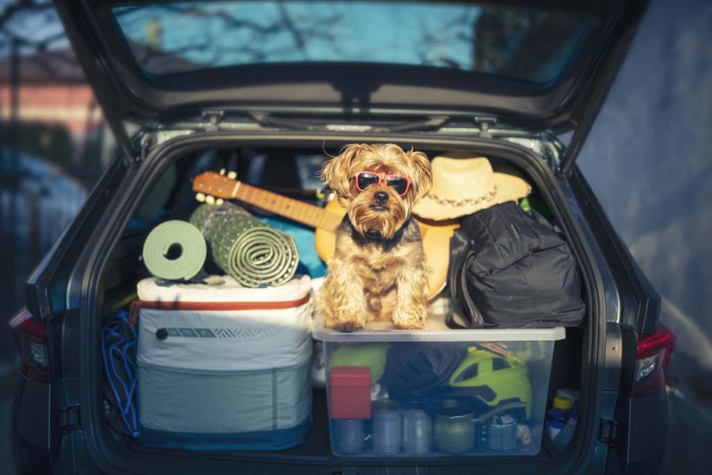 The Healthcare Traveler Road Trip Guide The Healthcare Traveler Road Trip Guide