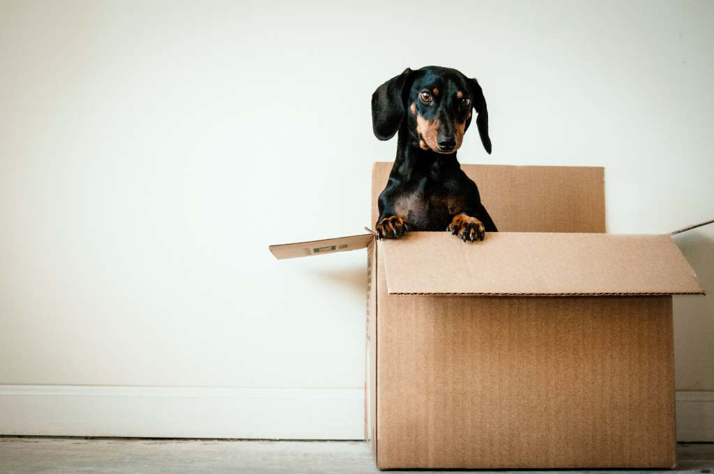 Tips & Advice for First-Time Travel Nurses travel nurse packing for new job