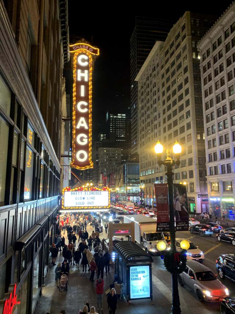 Cities that Celebrate the Hispanic Community Chicago at night