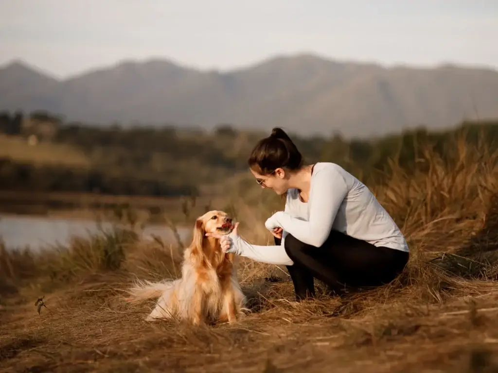 traveling with pets as a healthcare traveler