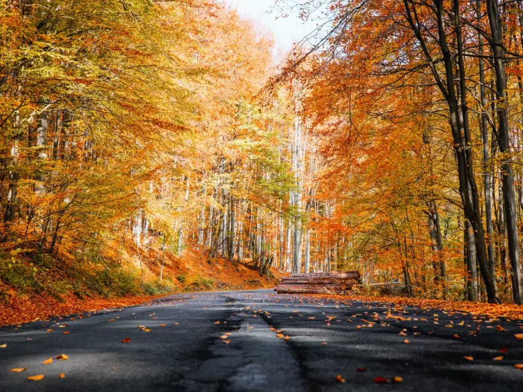 fall travel healthcare contracts