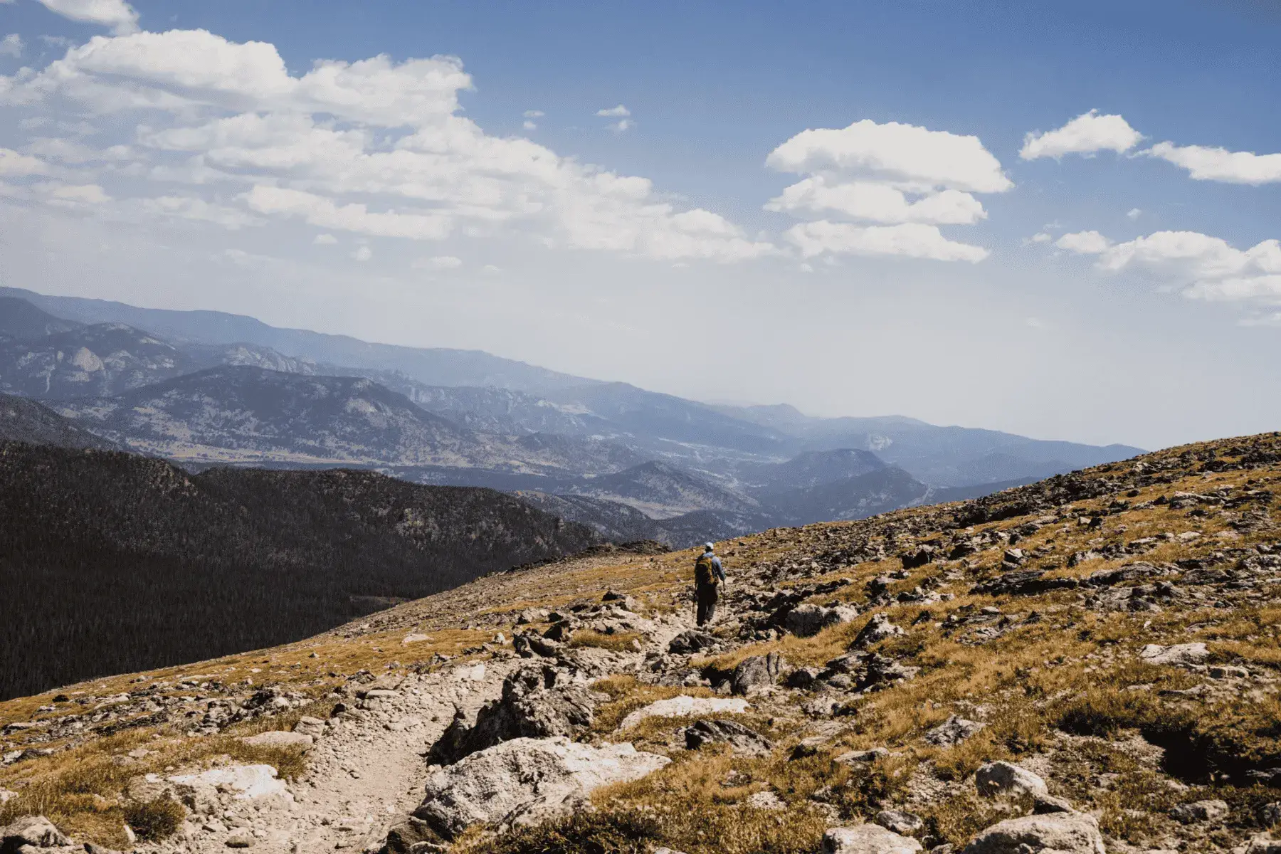 5 Mountainous National Parks and Top Hikes for the Best Views a view of a man hiking overlooking the mountains and trees below